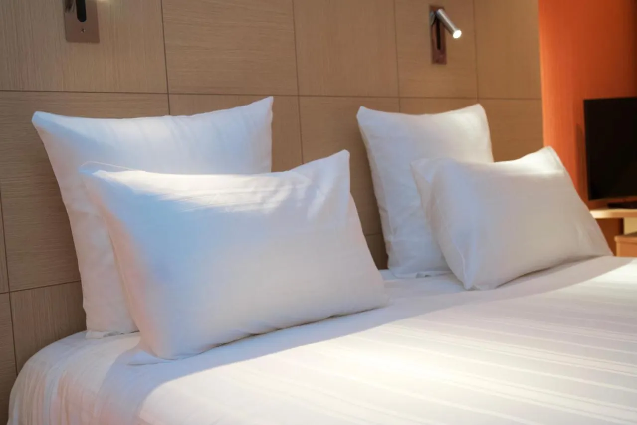 Nash Airport Hotel Meyrin