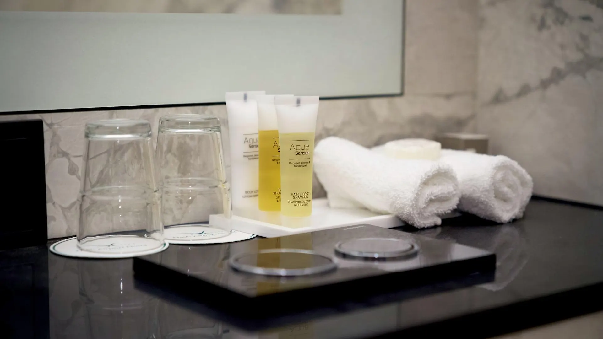 Nash Airport Hotel Meyrin